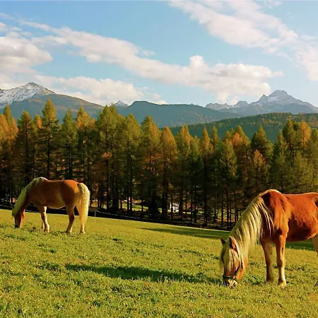 Appartamento Near The Ski Area In