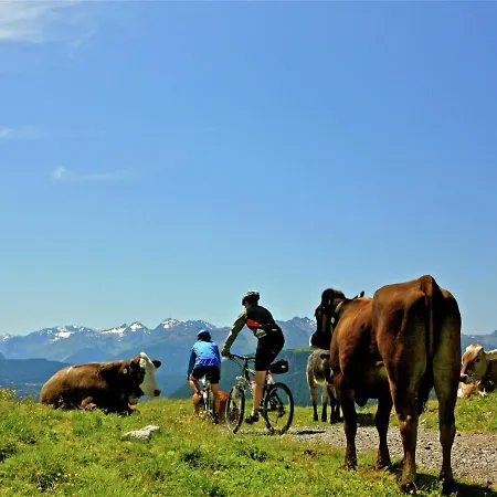 Near The Ski Area In Obsteig